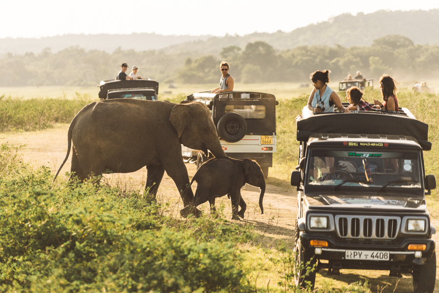 新春假期 斯里蘭卡9日  |  02/15保證出發!
