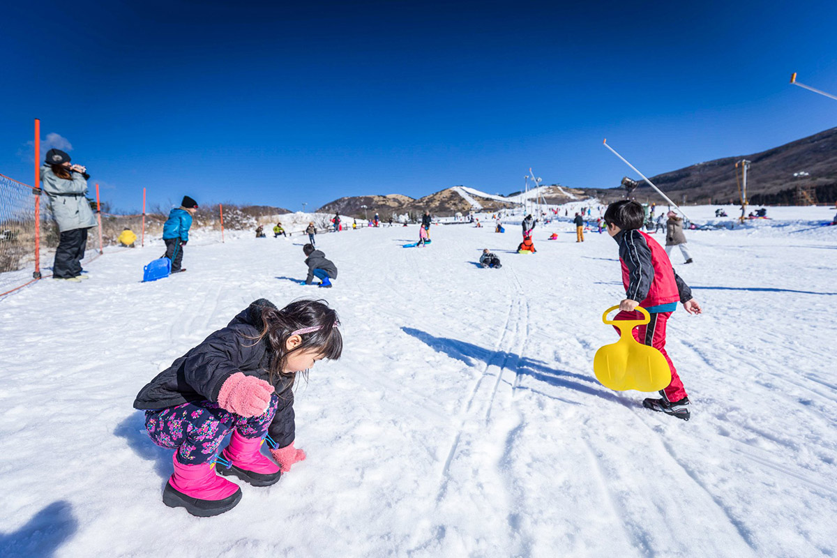 【新春賀歲】九州戲雪5日  |   02/19出發
