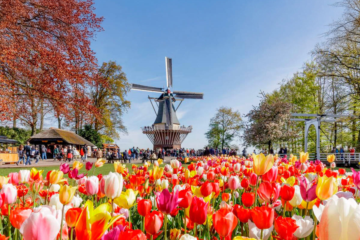 《翡翠假期》EMERALD LUNA五星級河輪★歐洲花曲六小河12日